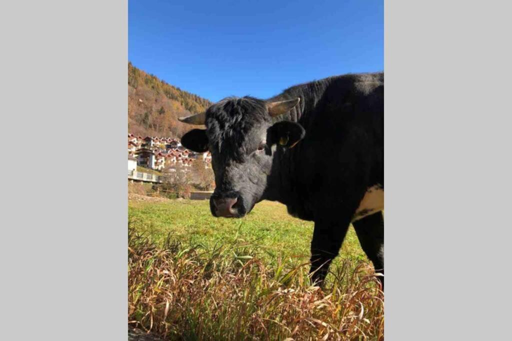 Tabla - Confort Ed Eleganza A 100 Mt Dagli Impianti Aprica Buitenkant foto